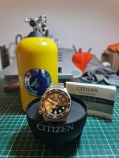 Citizen Promaster NY0040