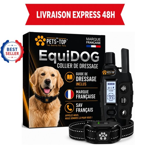 Collier dressage chien - dressage,