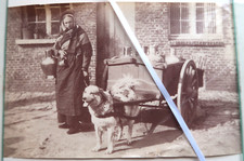 Photo Albuminé Laitiere et sa Charette à Chien Dietrich & Co Bruxelles 1880