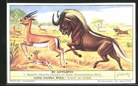 Image collection liebig - image,