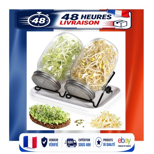 Cinnani germoir verre - germoir, en
