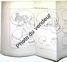 Préhistoire: Collignon 1881