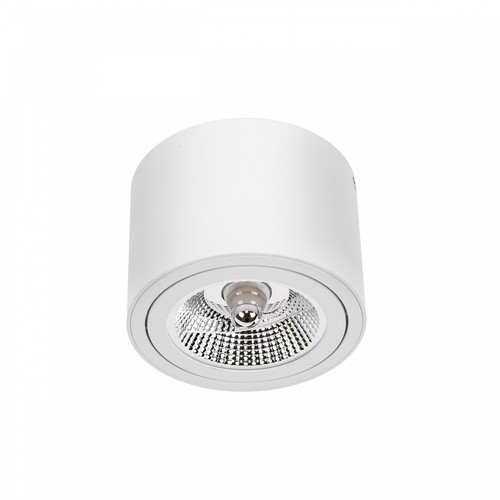 Spot plafonnier chloe ar111 - spot,