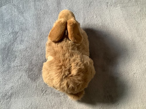 Peluche lapin dake amsterdam - peluche,