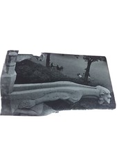 Gargonilles  Notre Dame