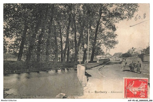 Ayfp5 0377 barbery - -,