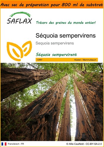 Saflax jardin dans - sac,