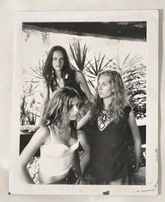 ​📸 Polaroid Original