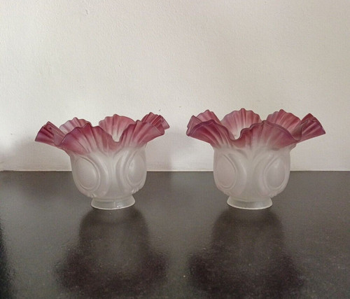 Paire tulipes verre pour - tulipes, en