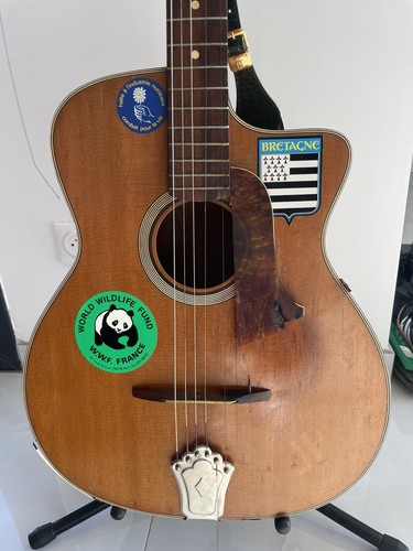 Guitare jazz manouche mauro - di,