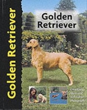 Golden Retriever - Dog Breed