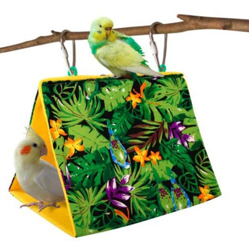 Oiseau perroquet perruche - perroquet,