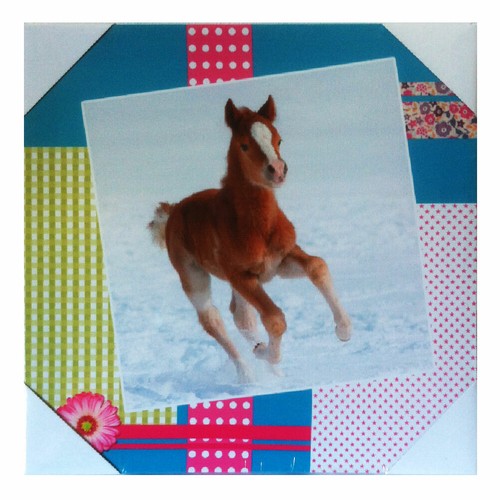 Cadre toile cheval - cadre, en