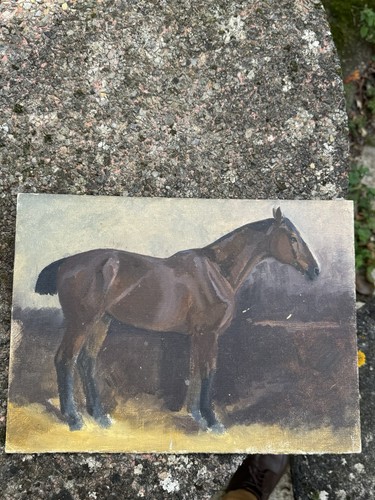 Horse study late 19th - -,