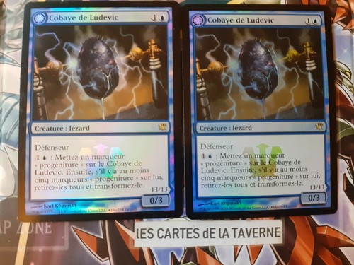 Cartes magic cobaye de - cartes,