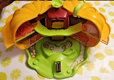 Lot Citrouille Merveilleuse