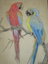 Charles PIOT (1886-1972)