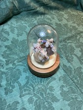 BOITE A MUSIQUE REUGE SOUS