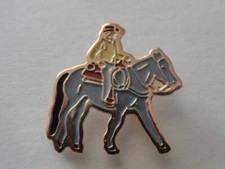PIN S CHEVAL EQUITATION TROT OBSTACLES PONEY EQUIDES