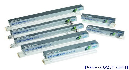 Ampoule uvc pour bitron - ampoule,