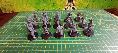 équipe blood bowl - bowl, 15