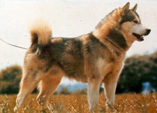 MONACO FEUILLET PHILATÉLIQUE