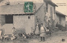 CP NOS CAMPAIGNS BASS COURT - 80798