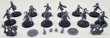 Warhammer Blood Bowl Amazon Kara Temple Harpies Team BUILT
