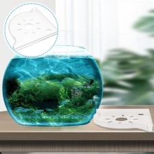 Accessoire Aquarium Décor De