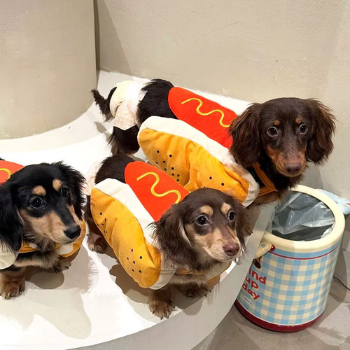 Costume hot dog - hot,