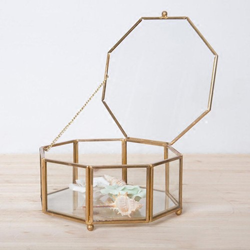 Planteur plante succulente - de,