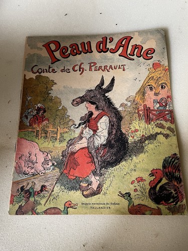 Livre ancien peau âne - livre,