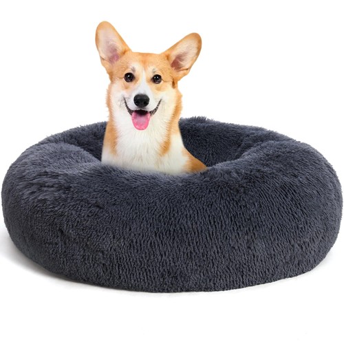 Lit orthopédique pour chien - lit,