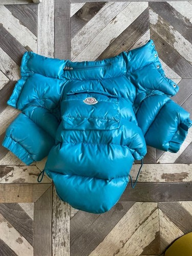 Doudoune bleue pour - , chien