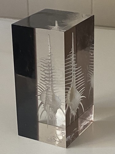 Plexiglass vintage inclusion - plexiglass,