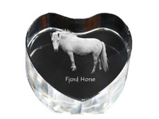 Fjord Poney - Photo De Cheval