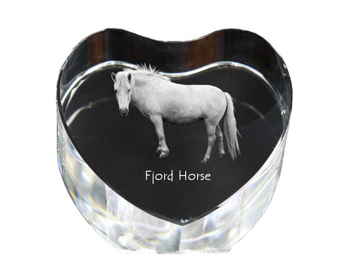Fjord poney photo - fjord,