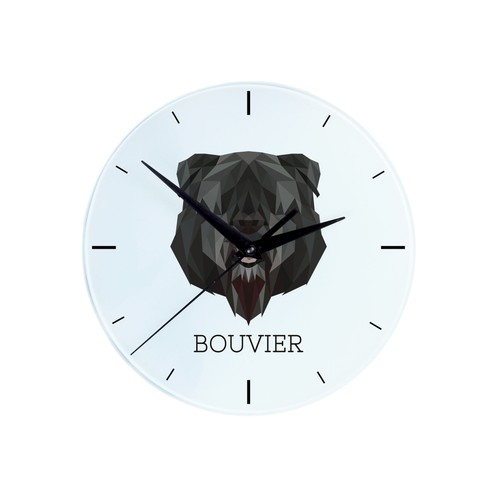 Bouvier des flandres une - flandres,