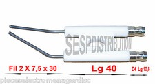 Electrode d'allumage cosse de