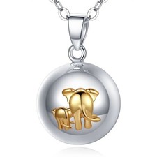 Bola de grossesse éléphants