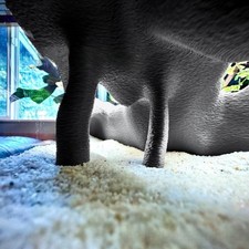 Cachette d'angle fausse racine de mangrove aquarium terrarium aspect naturel pou