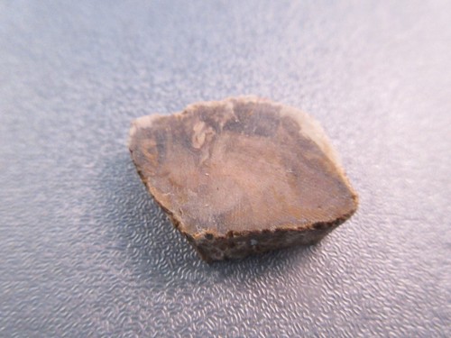 Madagascar petrified wood - madagascar,