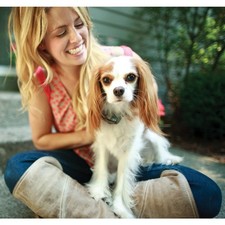 PetSafe Système de clôture