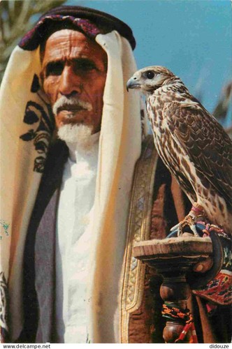 Carte postale animaux - postale,