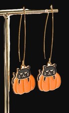 Joli petit chat & citrouille