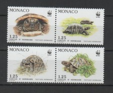 Monaco 1991 tortue d'Hermann 4