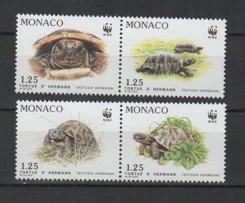 Monaco 1991 tortue hermann - monaco,