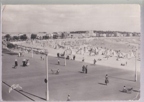 Cpsm royan grande - royan, :