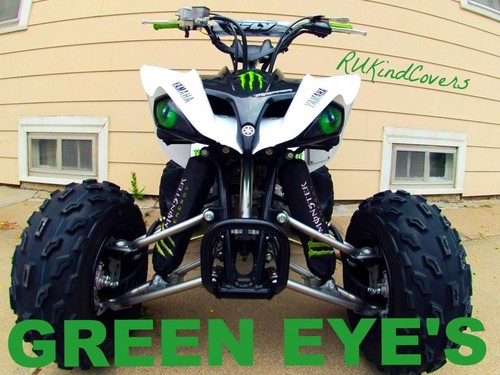 Neuf vert yeux - neuf, raptor