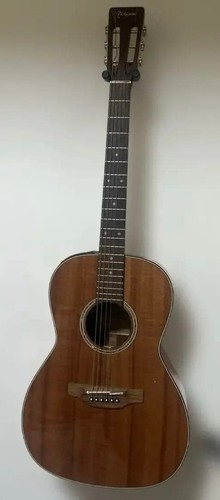 Guitare acoustique électrique